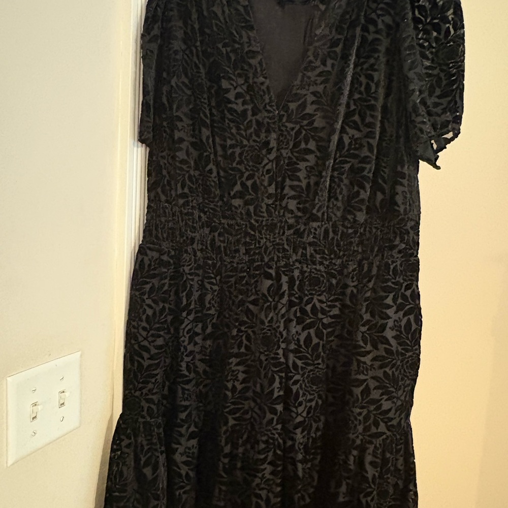 Anthropologie Somerset Velvet mini, worn one time